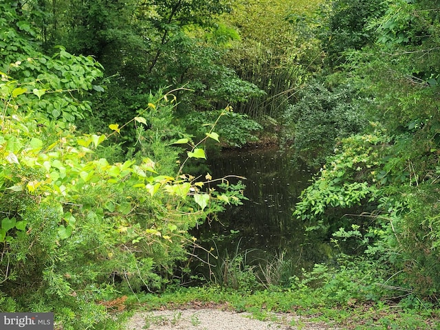 21785 Watson Rd, Leesburg, VA 20175 - view of undeveloped land