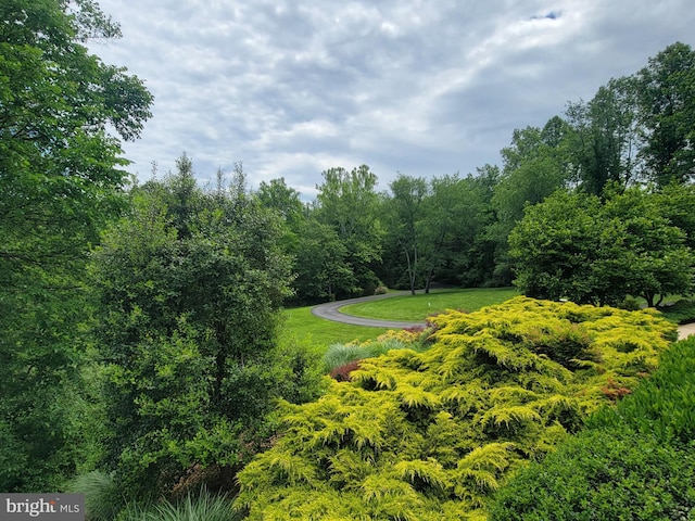 21785 Watson Rd, Leesburg, VA 20175 - view of property's community