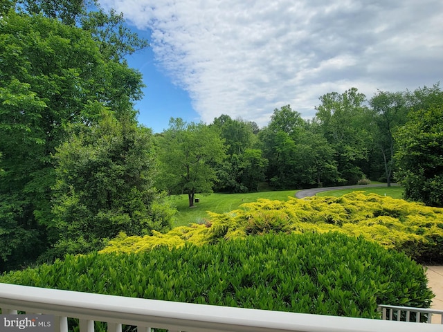 21785 Watson Rd, Leesburg, VA 20175 - view of yard