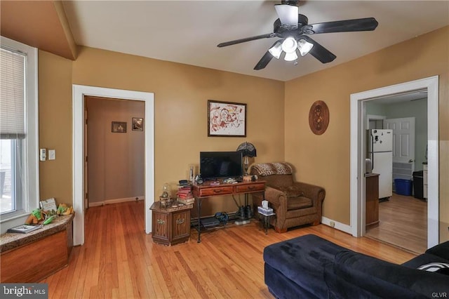 517 W Burke St, Easton, PA 18042 - office area featuring light wood-type flooring, a ceiling fan, and baseboards