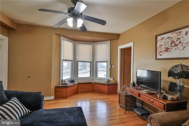 517 W Burke St, Easton, PA 18042 - living area featuring light wood-style floors, a ceiling fan, and baseboards