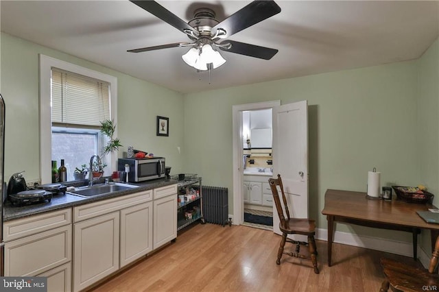517 W Burke St, Easton, PA 18042 - kitchen featuring a sink, radiator heating unit, stainless steel microwave, dark countertops, and light wood-style flooring