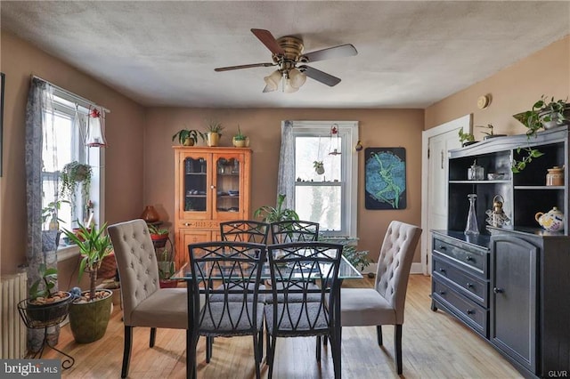 517 W Burke St, Easton, PA 18042 - dining room with plenty of natural light, light wood finished floors, ceiling fan, and radiator