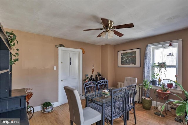 517 W Burke St, Easton, PA 18042 - dining room with a ceiling fan, wood finished floors, and baseboards