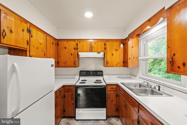 311 S Buckmarsh St, Berryville, VA 22611 - kitchen featuring freestanding refrigerator, electric range, under cabinet range hood, a sink, and light countertops
