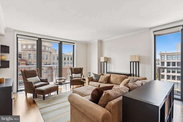 616 E St NW Unit 1114, Washington, DC 20004 - living area with wood finished floors, healthy amount of natural light, ornamental molding, and a wall of windows