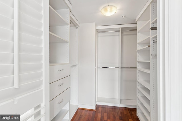 616 E St NW Unit 1114, Washington, DC 20004 - spacious closet with dark wood-style flooring