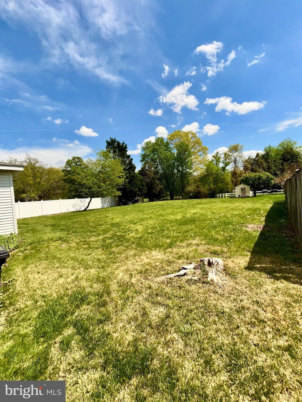 8403 Branchwood Cir, Clinton, MD 20735 - view of yard
