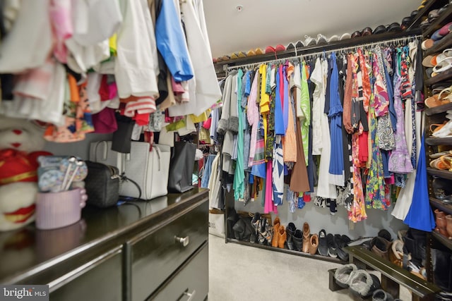14201 Village Manor Ct, Upper Marlboro, MD 20774 - view of spacious closet