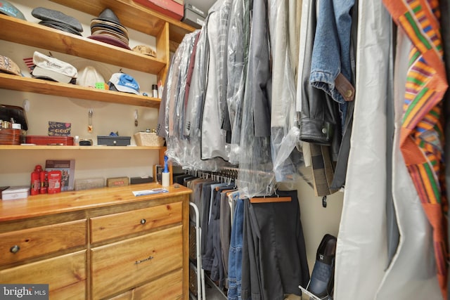 14201 Village Manor Ct, Upper Marlboro, MD 20774 - view of walk in closet
