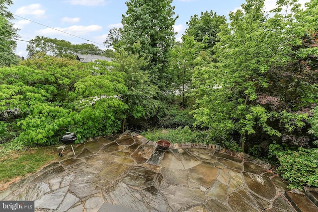 1201 Grenox Rd, Wynnewood, PA 19096 - view of patio