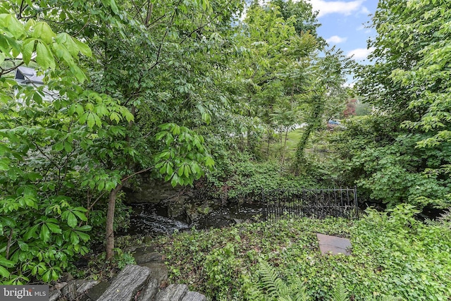 1201 Grenox Rd, Wynnewood, PA 19096 - view of yard