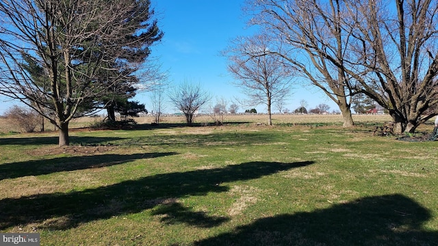 620 Strasburg Pike, Lancaster, PA 17602 - view of grassy yard