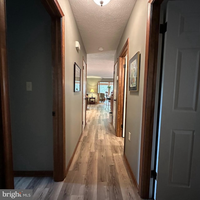 8201 Michaux Dr, Fayetteville, PA 17222 - hall with light wood finished floors, a textured ceiling, and baseboards