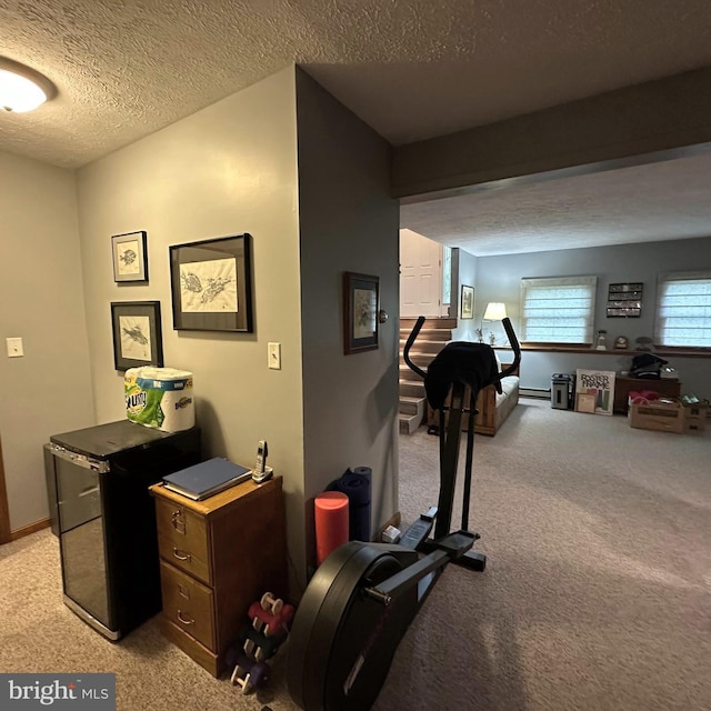 8201 Michaux Dr, Fayetteville, PA 17222 - workout area with light carpet and a textured ceiling