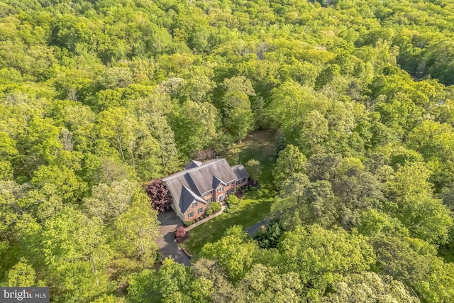 40801 Kiskadee Ln, Leonardtown, MD 20650 - view of subject property with a forest