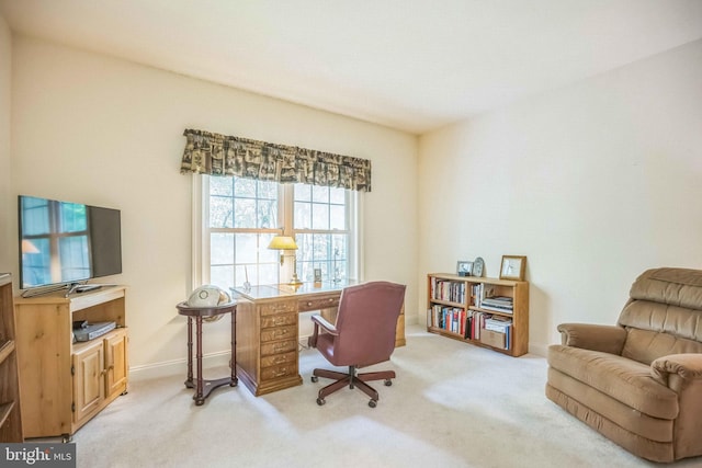40801 Kiskadee Ln, Leonardtown, MD 20650 - office space featuring light colored carpet and baseboards
