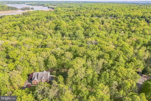 40801 Kiskadee Ln, Leonardtown, MD 20650 - aerial view of a heavily wooded area and a nearby body of water