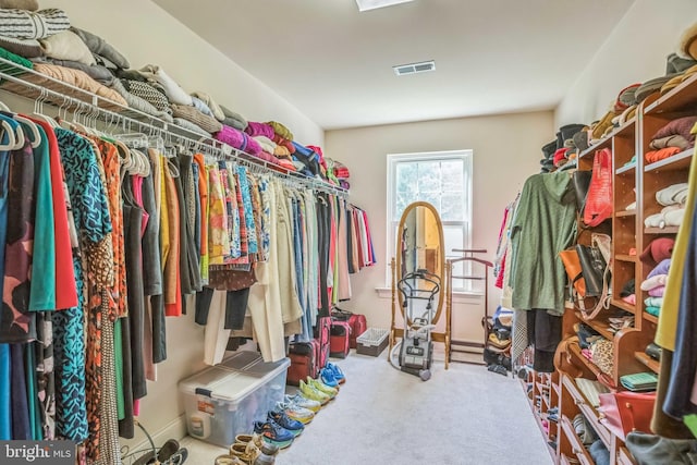 40801 Kiskadee Ln, Leonardtown, MD 20650 - spacious closet featuring carpet flooring