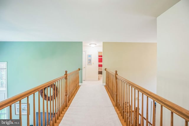 40801 Kiskadee Ln, Leonardtown, MD 20650 - corridor with an upstairs landing, baseboards, and carpet flooring