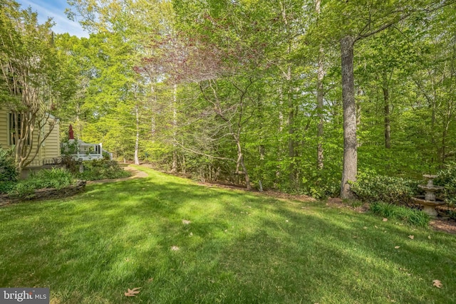 40801 Kiskadee Ln, Leonardtown, MD 20650 - view of green lawn with a forest view