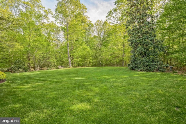 40801 Kiskadee Ln, Leonardtown, MD 20650 - view of grassy yard