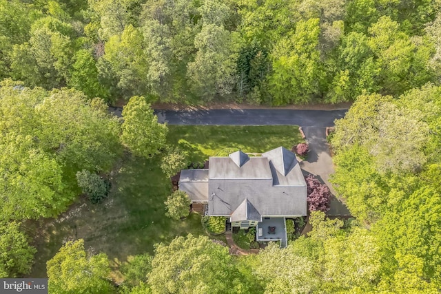 40801 Kiskadee Ln, Leonardtown, MD 20650 - view of subject property featuring a heavily wooded area