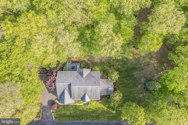 40801 Kiskadee Ln, Leonardtown, MD 20650 - view of subject property with a forest