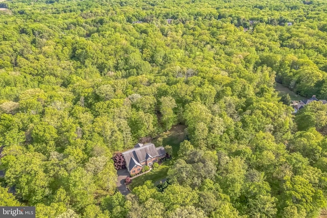 40801 Kiskadee Ln, Leonardtown, MD 20650 - aerial view of property and surrounding area with a heavily wooded area