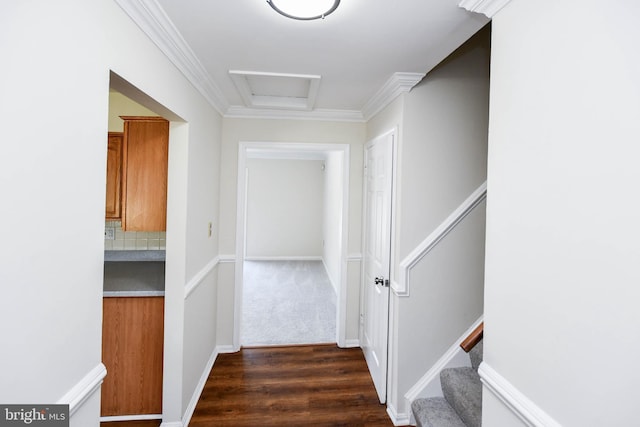 1222 Kings Tree Dr, Bowie, MD 20721 - hallway with dark wood-style flooring, stairs, and crown molding