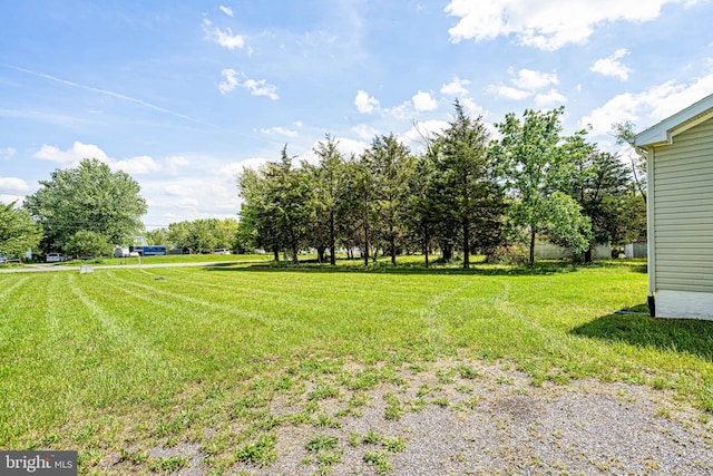 35 Dapple Gray Ln, Dover, DE 19904 - view of grassy yard