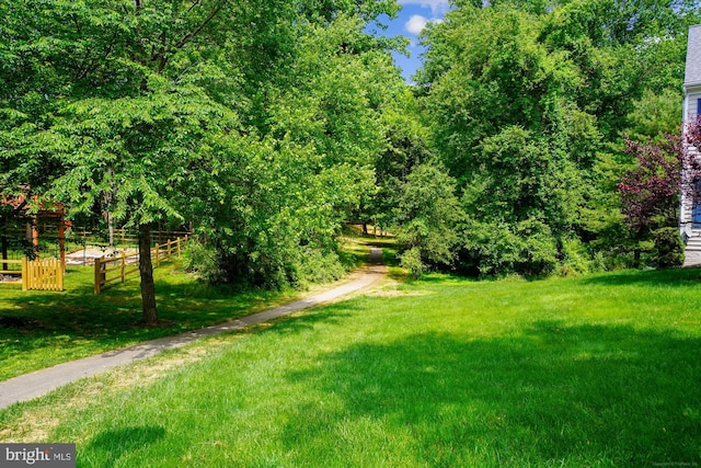 13925 Wayside Dr, Clarksville, MD 21029 - view of yard
