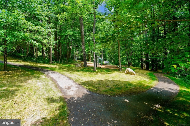 13925 Wayside Dr, Clarksville, MD 21029 - view of green lawn featuring a view of trees and asphalt driveway