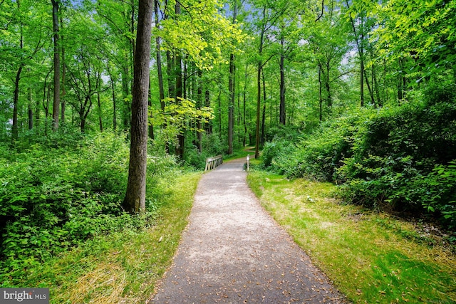 13925 Wayside Dr, Clarksville, MD 21029 - view of community featuring driveway and a wooded view