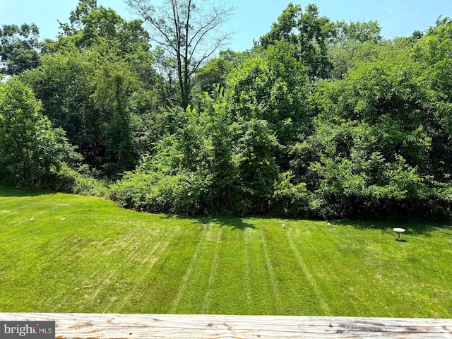 3942 Forest Valley Rd, Baltimore, MD 21234 - view of grassy yard