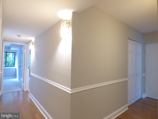 2216 Springwood Dr Unit 202, Reston, VA 20191 - corridor featuring wood finished floors, baseboards, and lofted ceiling