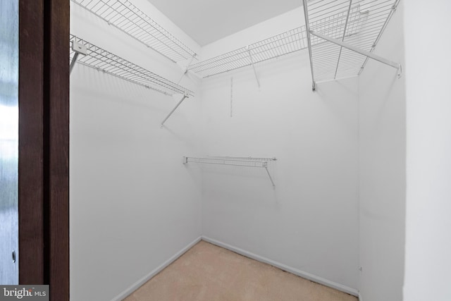 127 Mohican Ln, Little Egg Harbor Twp, NJ 08087 - walk in closet with light carpet