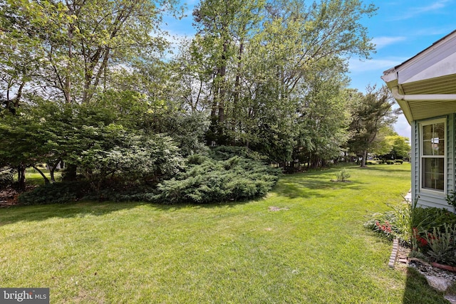 127 Mohican Ln, Little Egg Harbor Twp, NJ 08087 - view of green lawn