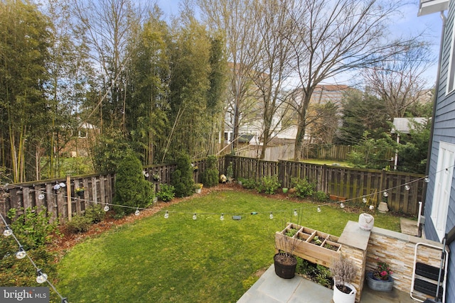 1713 N Wayne St, Arlington, VA 22201 - view of yard