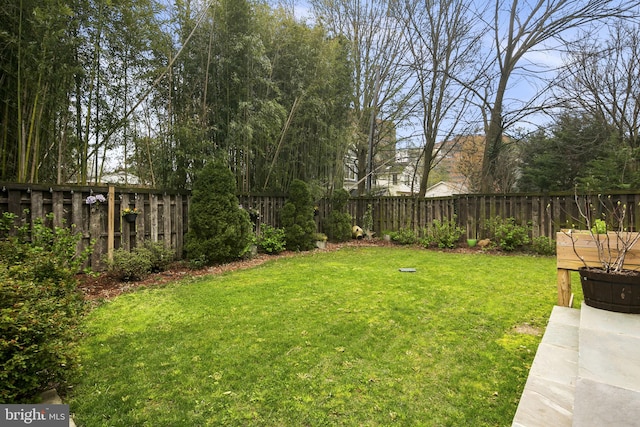 1713 N Wayne St, Arlington, VA 22201 - view of yard