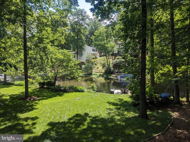 4499 Larchmont Ct, Dumfries, VA 22025 - view of green lawn