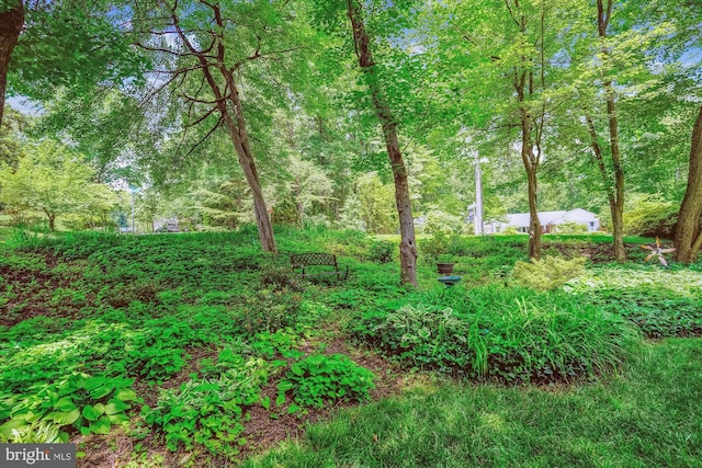 4499 Larchmont Ct, Dumfries, VA 22025 - view of yard