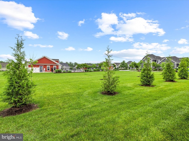 306 Prospect St, Milton, DE 19968 - view of grassy yard
