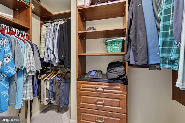 18442 Lanier Island Sq, Leesburg, VA 20176 - spacious closet featuring carpet flooring