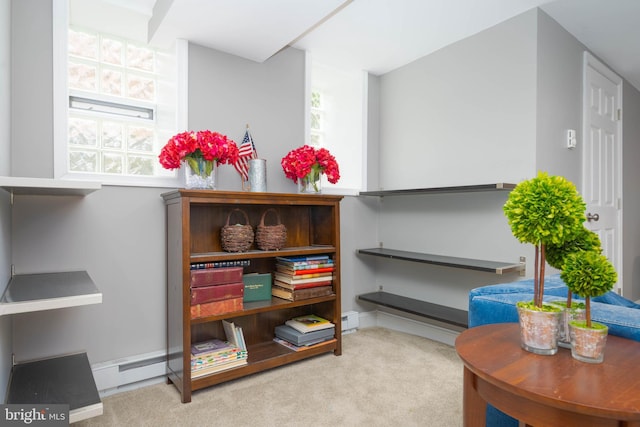 409 Regester Ave, Baltimore, MD 21212 - view of storage room