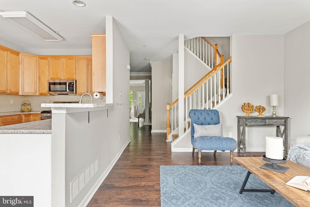 119 Fringetree Dr, West Chester, PA 19380 - kitchen featuring stainless steel microwave, dark wood finished floors, light brown cabinetry, light countertops, and baseboards