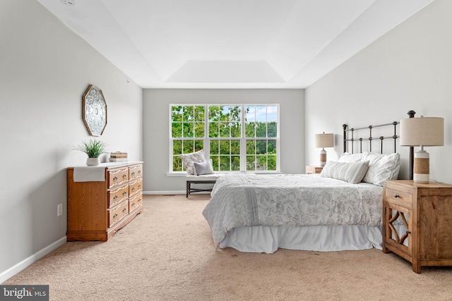 119 Fringetree Dr, West Chester, PA 19380 - bedroom featuring light carpet, a raised ceiling, and baseboards