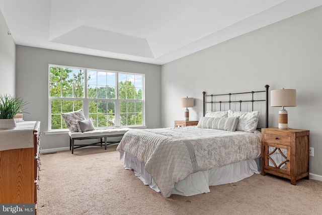 119 Fringetree Dr, West Chester, PA 19380 - carpeted bedroom with a tray ceiling and baseboards