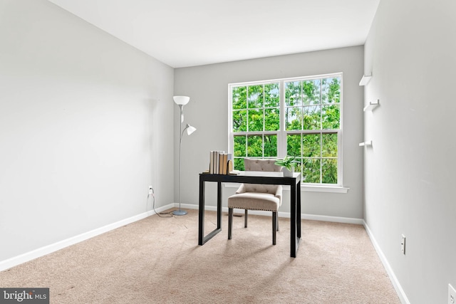 119 Fringetree Dr, West Chester, PA 19380 - office featuring carpet, healthy amount of natural light, and baseboards