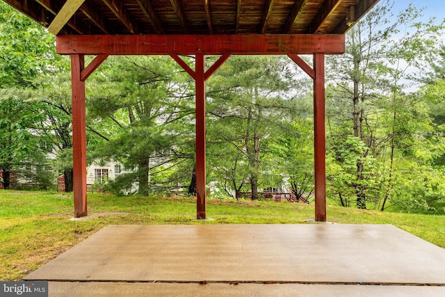 119 Fringetree Dr, West Chester, PA 19380 - view of patio